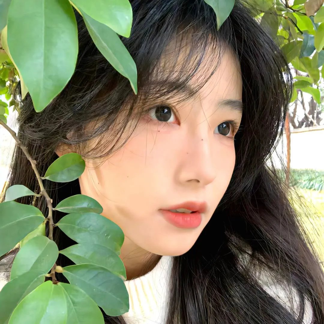同心草