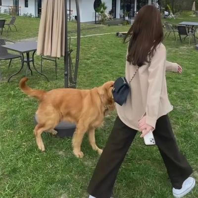 人性爆走课
